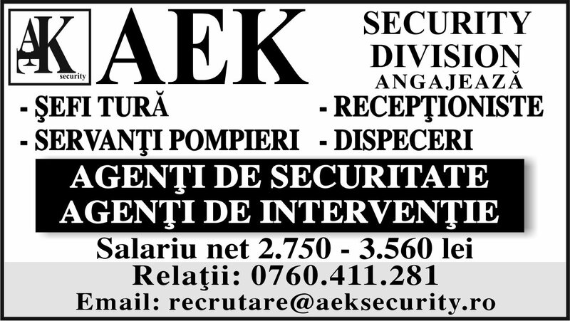 Aek Security Division, agentie de securitate