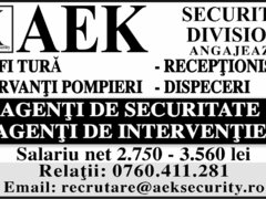 Aek Security Division, agentie de securitate